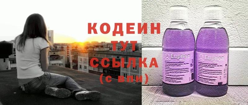 продажа наркотиков  Комсомольск-на-Амуре  Кодеиновый сироп Lean Purple Drank 