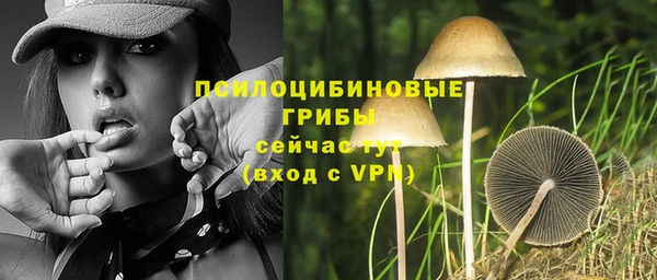 меф Медногорск