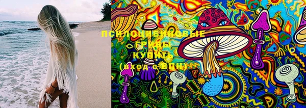мет Медвежьегорск