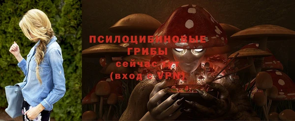 мет Медвежьегорск